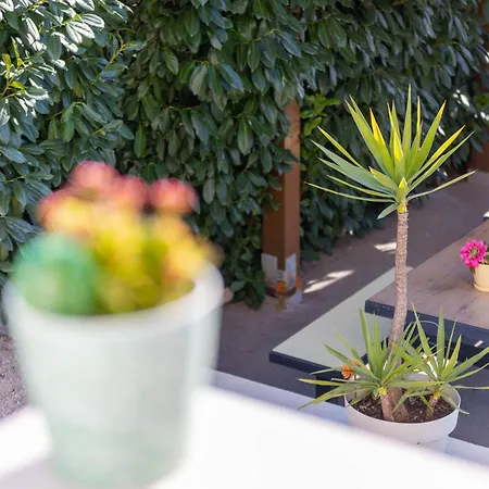 Sunshine With Pool Appartamento *