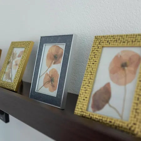 Sunshine With Pool Appartamento *